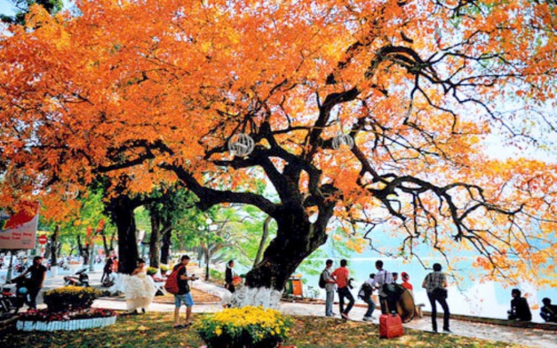 Thời tiết hôm nay (21-4): Bắc Bộ nhiều nơi ngày nắng, rải rác có mưa rào