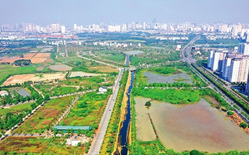 Cán bộ, người thuộc lực lượng vũ trang để xảy ra vi phạm về đất đai được miễn kỷ luật trong trường hợp nào?