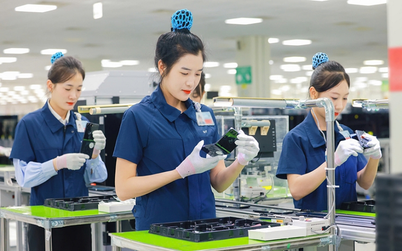Phạt người sử dụng lao động tới 75 triệu đồng nếu trả lương thấp hơn quy định