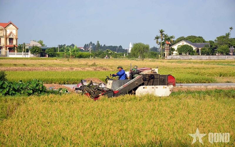 Giảm phát thải trồng trọt để tăng tính cạnh tranh nông sản Việt trên thị trường