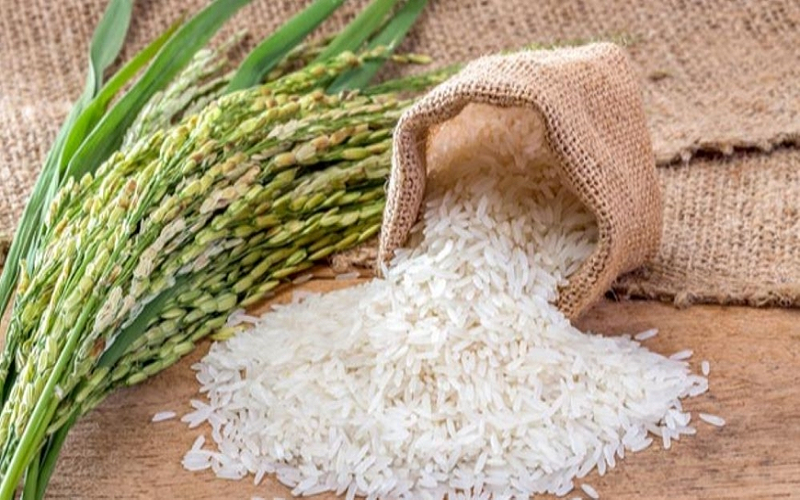 Bản tin nông sản hôm nay (22-5): Giá cà phê giảm