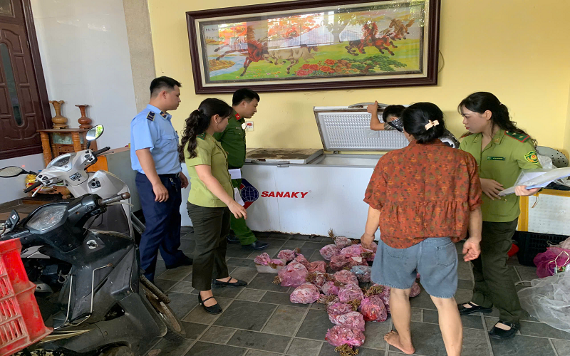Thanh Hóa: Thu giữ 290 cá thể cò hương làm sạch, cấp đông chờ tiêu thụ