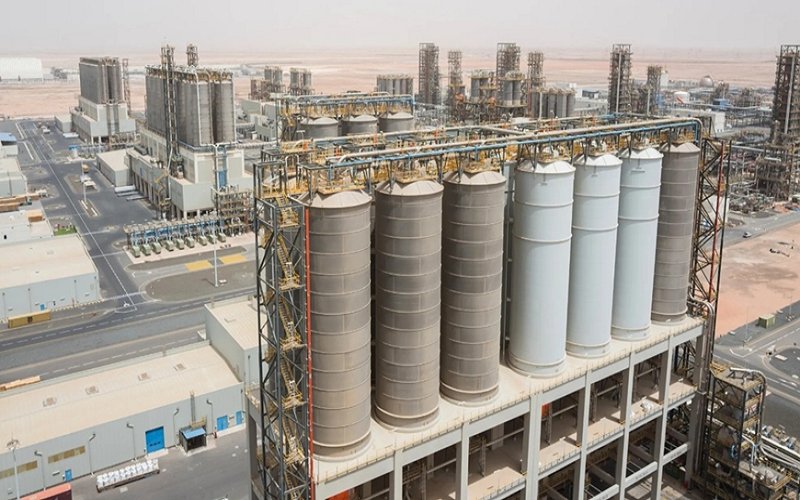 Lý do thực sự khiến UAE rời khỏi OPEC