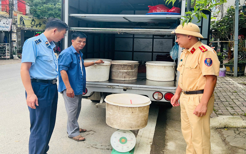 Phú Thọ: Đội Quản lý thị trường số 11 phát hiện, xử lý 100 kg sản phẩm động vật (lòng lợn) không rõ nguồn gốc