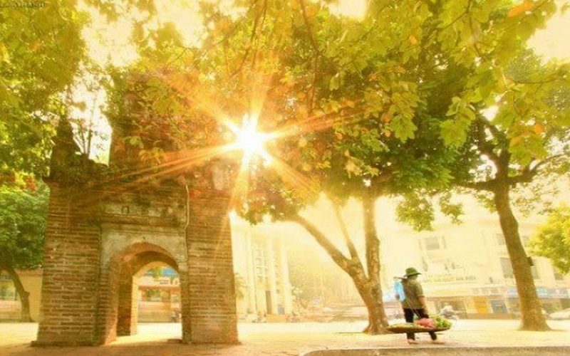 Đi trong ngày nắng