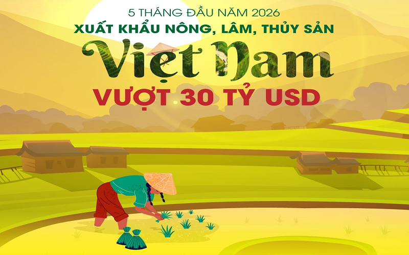 Xuất khẩu nông, lâm, thủy sản vượt 30 tỷ USD trong 5 tháng đầu năm 2026