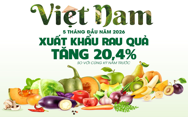 Xuất khẩu rau quả tăng 20,4% trong 5 tháng đầu năm 2026
