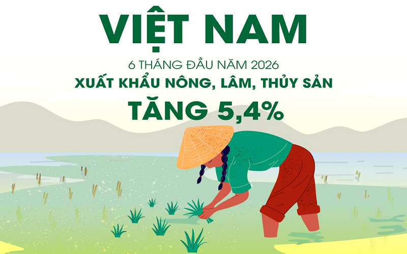 Xuất khẩu nông, lâm, thủy sản đạt gần 35,9 tỷ USD trong 6 tháng đầu năm 2026