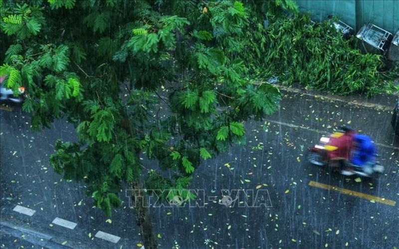 Thời tiết hôm nay (11-7): Nhiều nơi có mưa to đến rất to