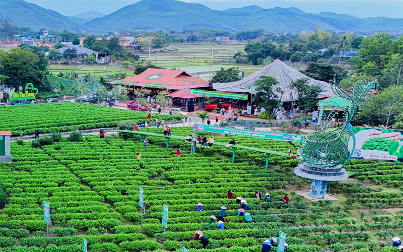 Cơ hội mở rộng thị trường từ hoạt động khuyến công