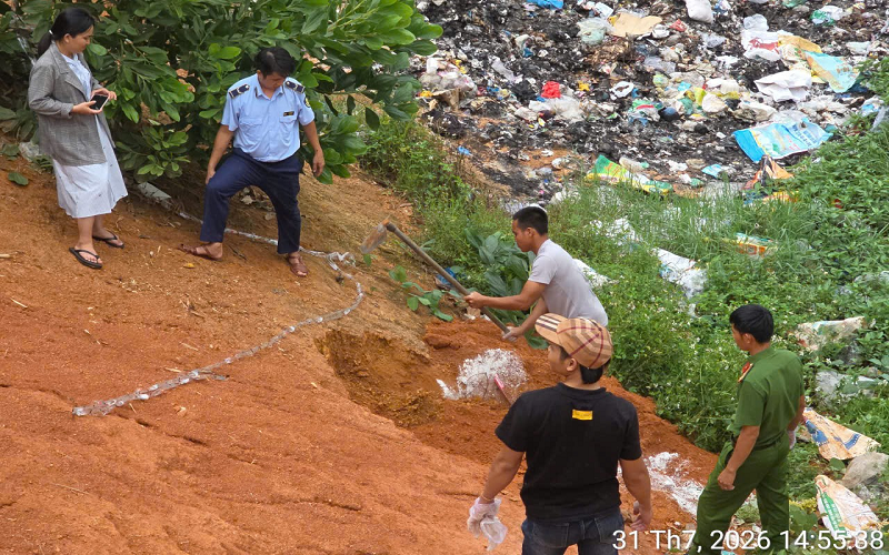Gia Lai: Xử phạt hộ kinh doanh 8 triệu đồng, buộc tiêu hủy 95 kg thịt gà không rõ nguồn gốc