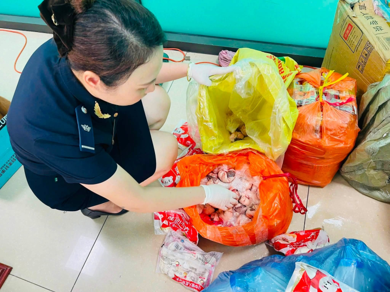 Kiểm tra, thu giữ số lượng lớn thực phẩm nhập lậu qua biên giới Lào Cai.