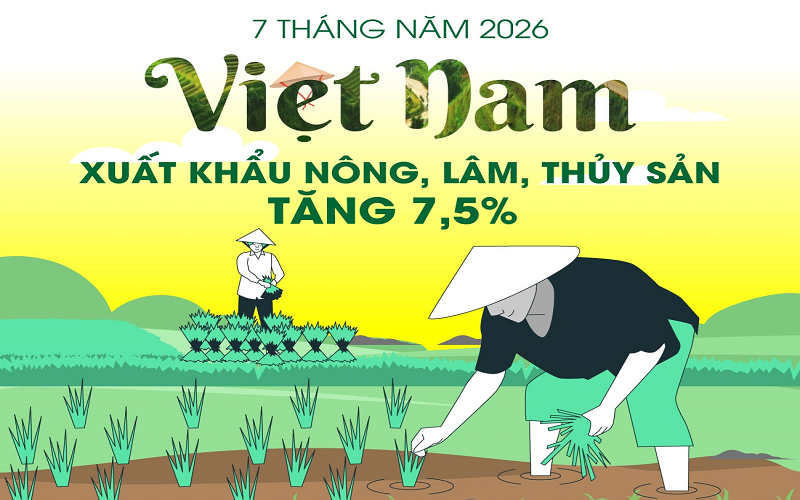 Xuất khẩu nông, lâm, thủy sản tăng 7,5% trong 7 tháng năm 2026