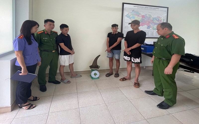 Cao Bằng: Khởi tố, bắt tạm giam các đối tượng vận chuyển 3,64 kg sừng tê giác