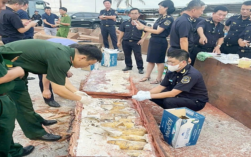Phát hiện hơn 1.193 kg ngà voi và 79,3 kg xương động vật hoang dã từ châu Phi