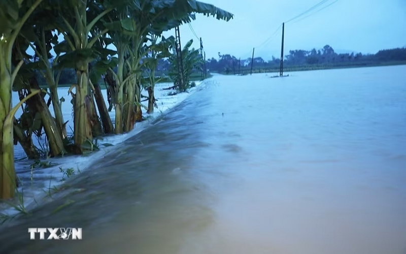 Ảnh hưởng bão số 4: Mực nước nhiều sông tại Bắc Ninh vượt báo động III, khẩn trương di dời hàng nghìn hộ dân