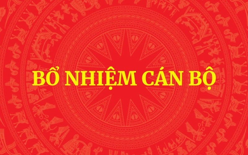 Thủ tướng Chính phủ điều động, bổ nhiệm nhân sự 4 bộ, cơ quan