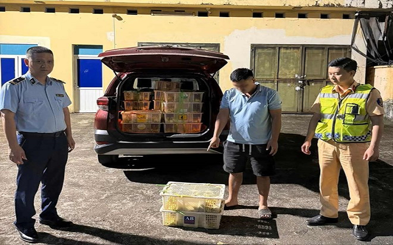 Quảng Ninh: Phát hiện các phương tiện vận chuyển bánh trung thu, rượu, kim loại quý... có dấu hiệu nhập lậu