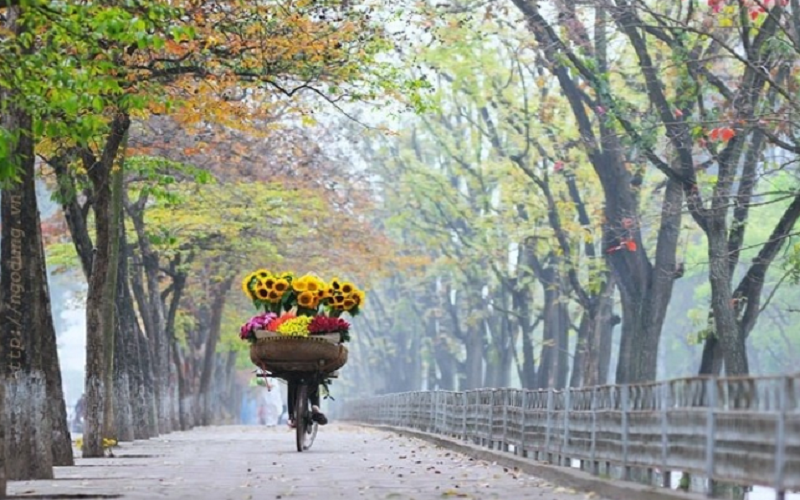 Thời tiết hôm nay (10-9): Miền Bắc đón không khí lạnh, trời chuyển mát